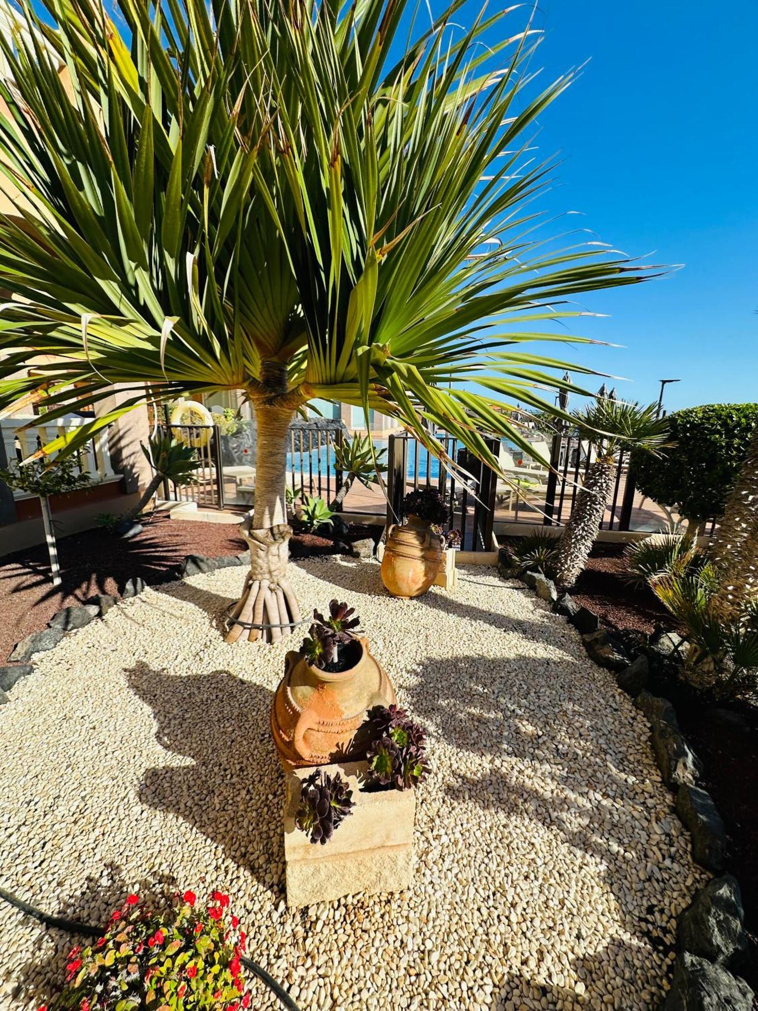 El Nautico Coral Suites San Miguel de Abona Esterno foto