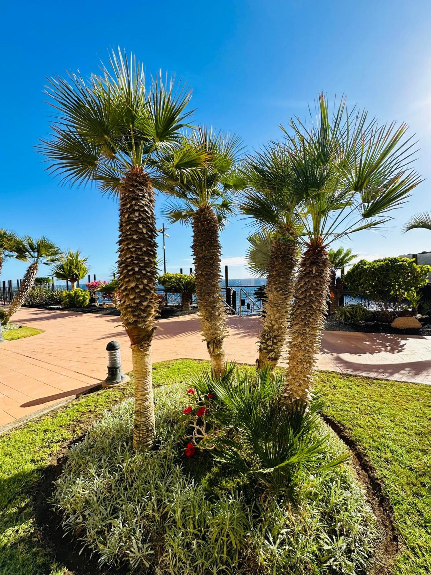 El Nautico Coral Suites San Miguel de Abona Esterno foto